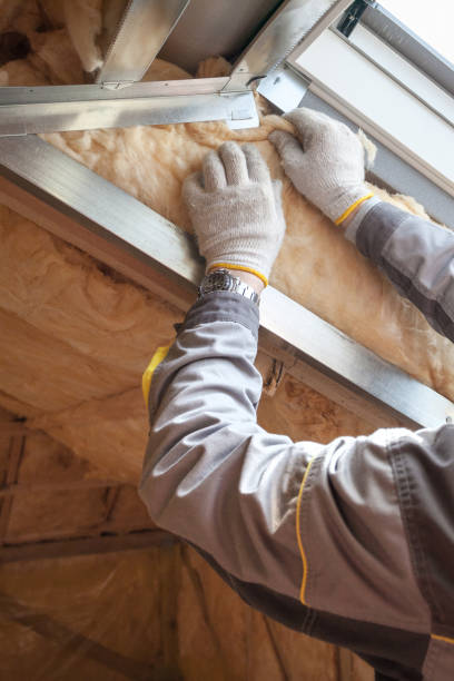 Eco-Friendly or Green Insulation Solutions in Liberty Hill, TX